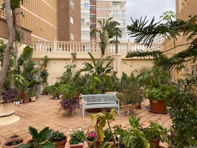 Precioso Apartamento A Estrenar En Primera Linea De Playa Benidorm Luaran gambar